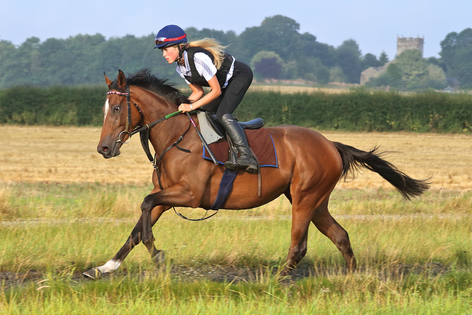 Laurens Dream [M & D Easterby]