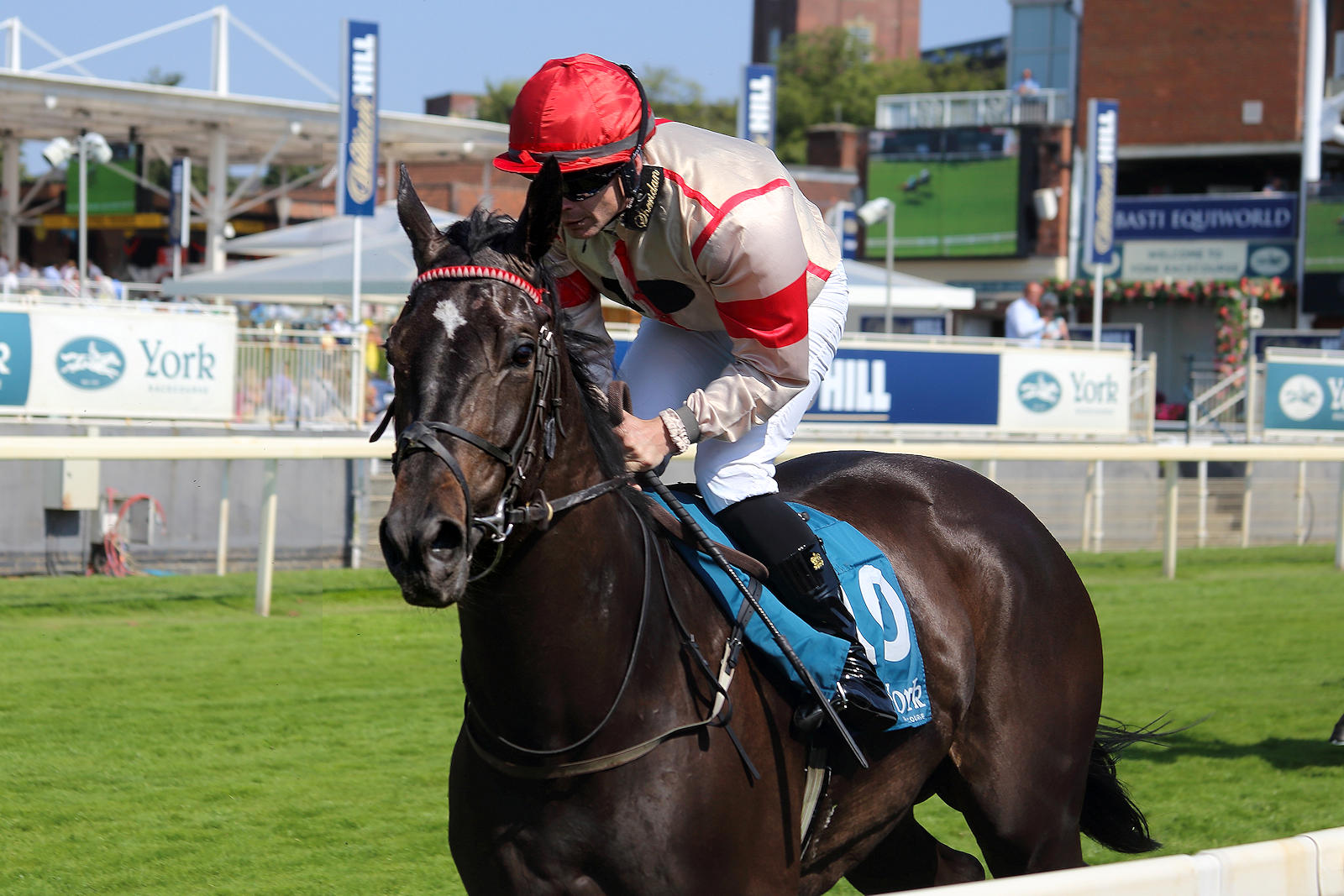 Photos: A hot and sunny Friday afternoon at York