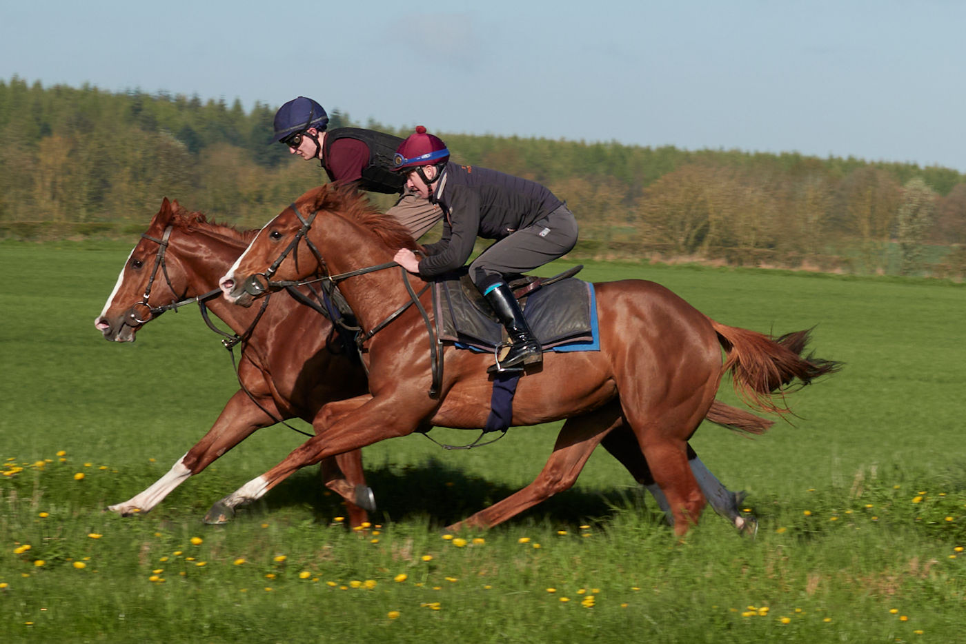 Mick & David Easterby