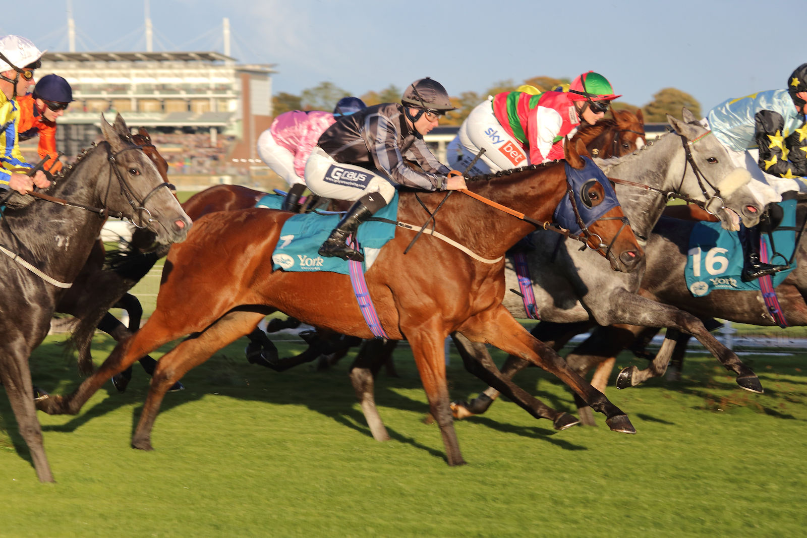 Mick & David Easterby's 2024 Racing Year