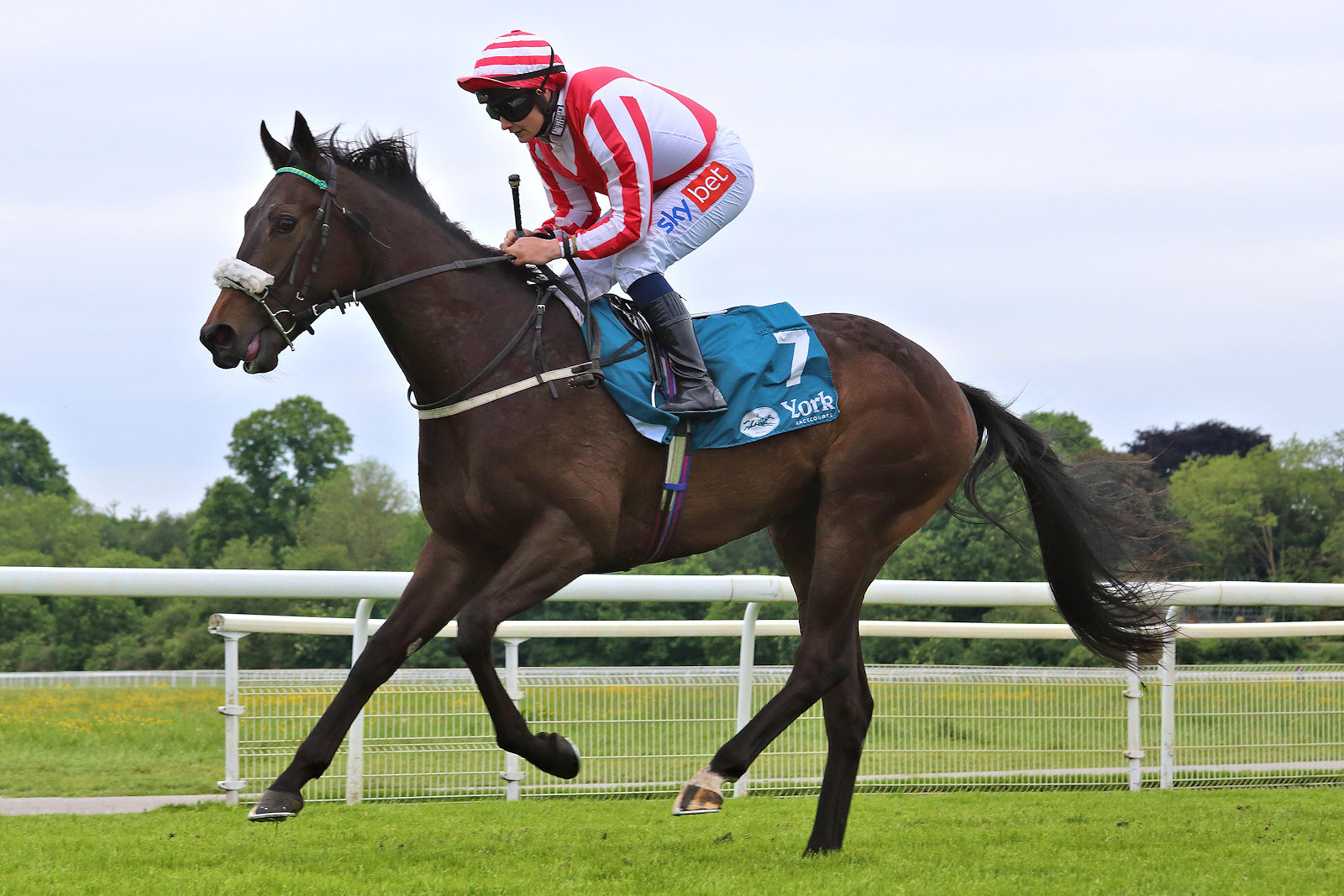 Racing Syndicates: Mick & David Easterby Racing