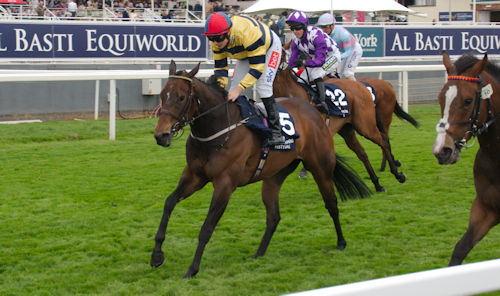 Racing Syndicates: Mick & David Easterby Racing